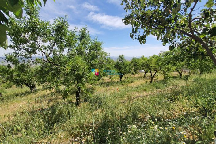 Image No.45-5 Bed Country House for sale