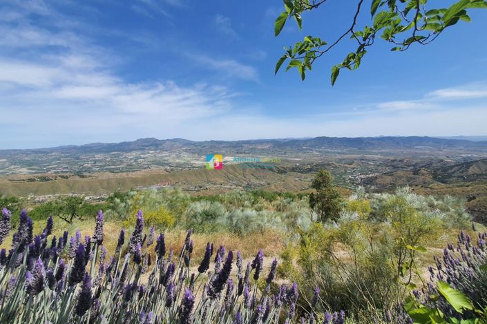 Image No.47-5 Bed Country House for sale