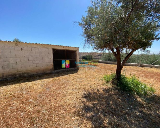 Image No.3-3 Bed Townhouse for sale