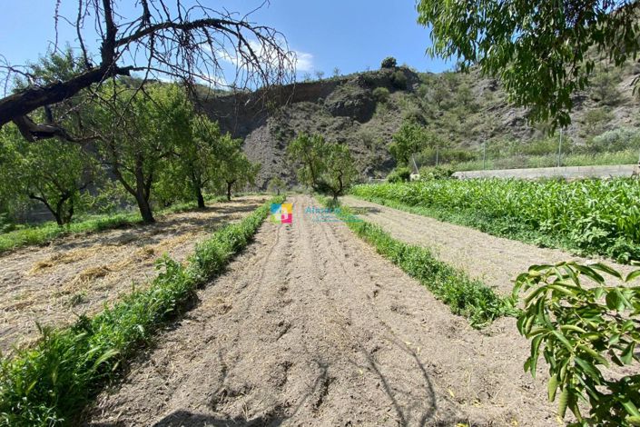 Image No.37-5 Bed Villa for sale