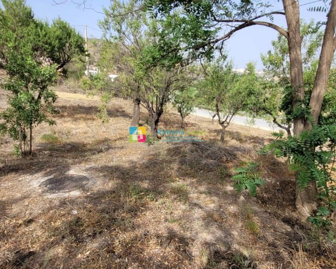 Image No.40-5 Bed Country House for sale