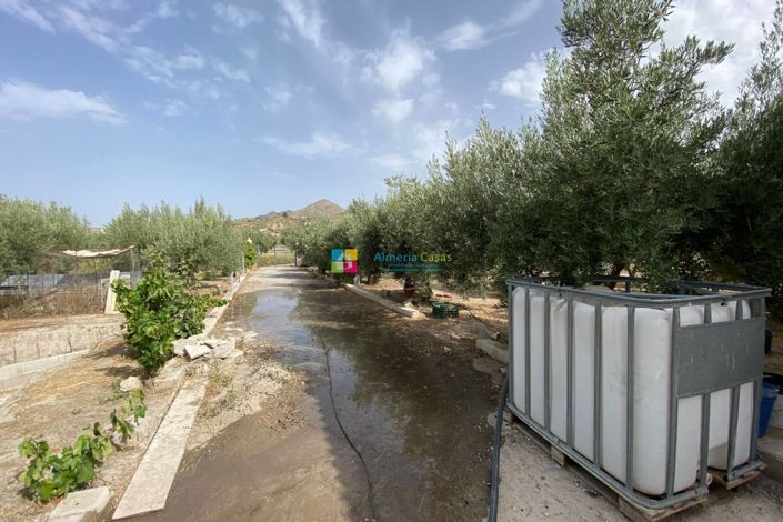 Image No.35-4 Bed Country House for sale