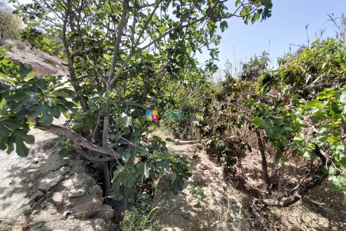 Image No.31-3 Bed Country House for sale