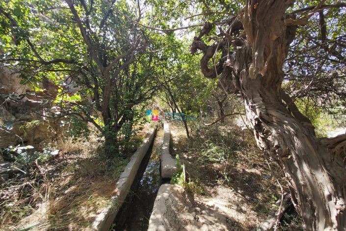 Image No.33-3 Bed Country House for sale