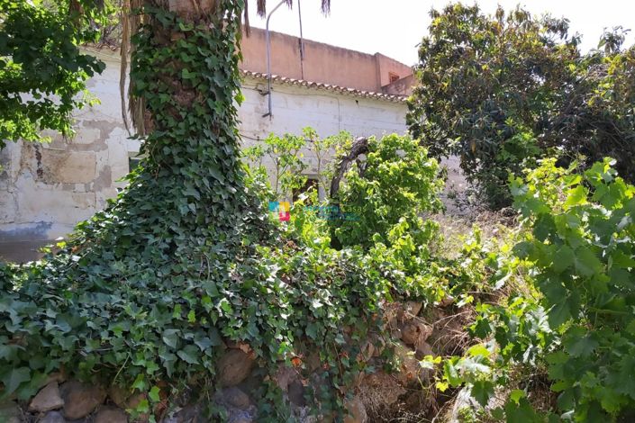 Image No.4-3 Bed Country House for sale