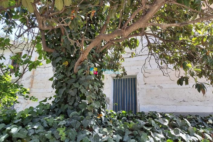 Image No.5-3 Bed Country House for sale