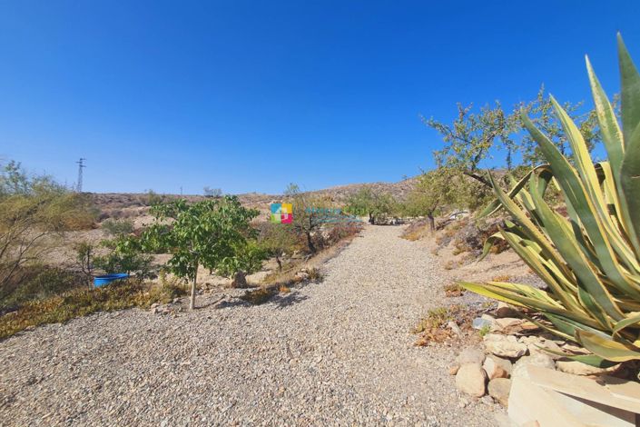 Image No.44-3 Bed Villa for sale