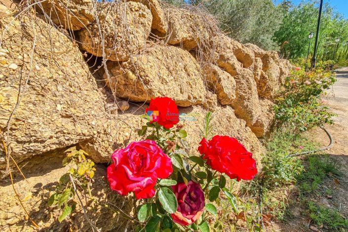 Image No.29-4 Bed Country House for sale