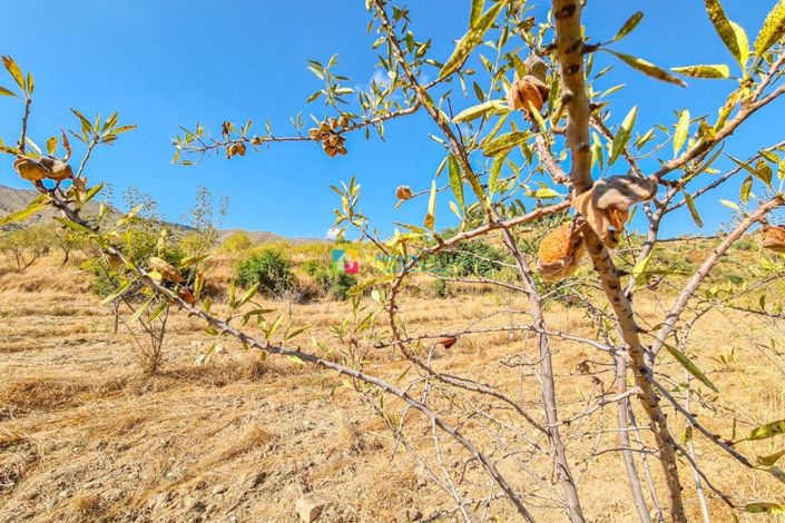 Image No.35-4 Bed Country House for sale