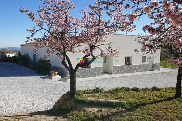 Image No.1-3 Bed Villa for sale