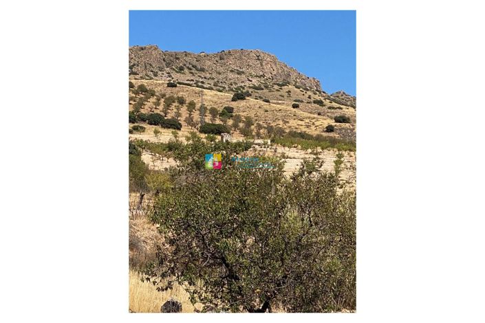 Image No.42-5 Bed Country House for sale