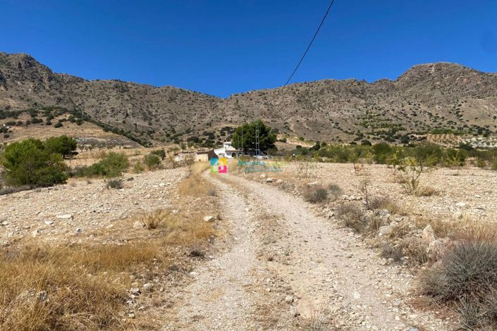 Image No.43-5 Bed Country House for sale