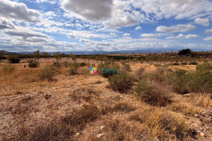 Image No.11-Country House for sale