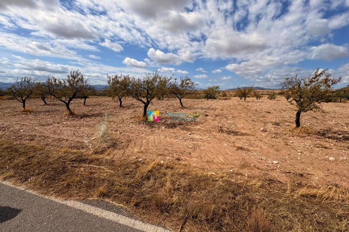 Image No.14-Country House for sale