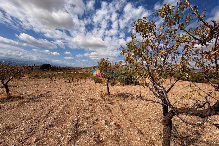 Image No.16-Country House for sale