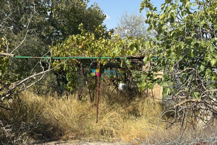 Image No.12-Country House for sale