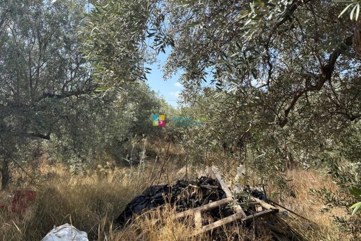 Image No.13-Country House for sale