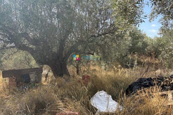 Image No.6-Country House for sale