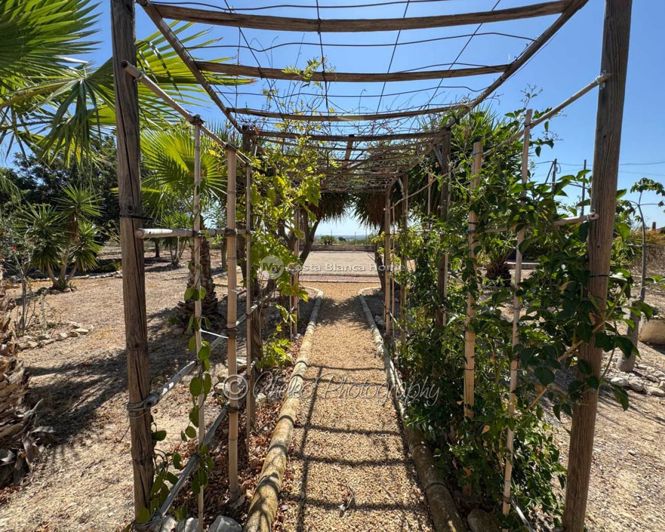 Image No.23-4 Bed Country House for sale