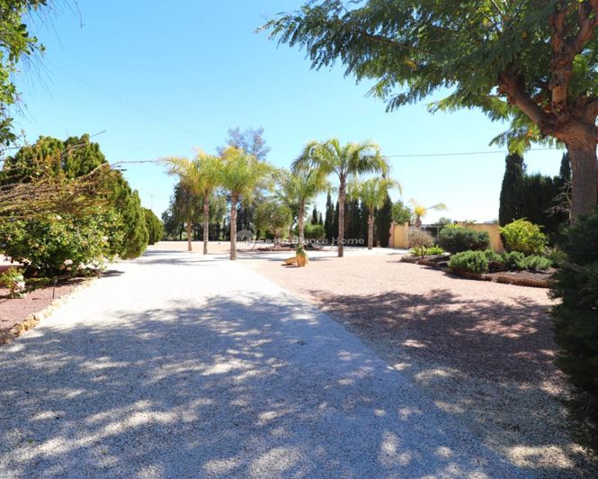 Image No.45-6 Bed Country House for sale