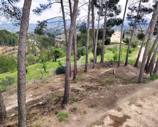 Image No.45-4 Bed Finca for sale