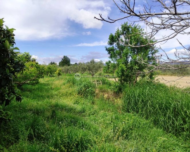 Image No.17-3 Bed Country House for sale