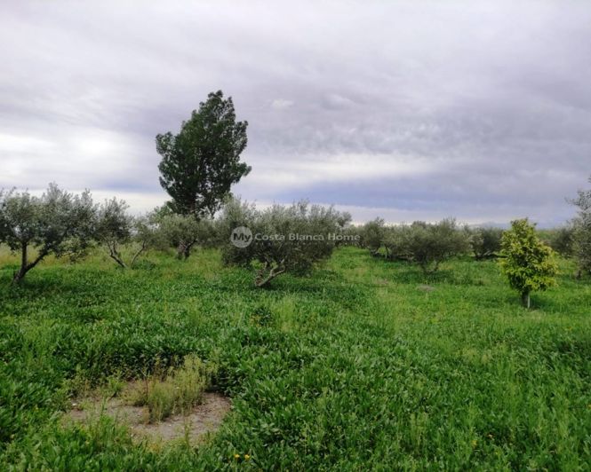 Image No.19-3 Bed Country House for sale