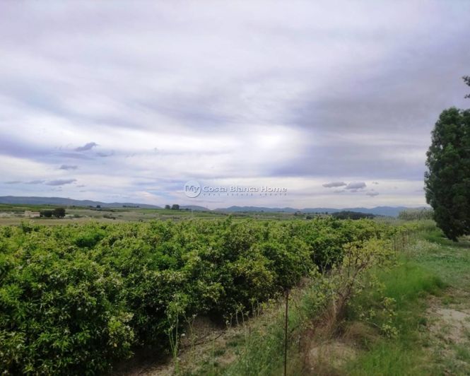 Image No.20-3 Bed Country House for sale