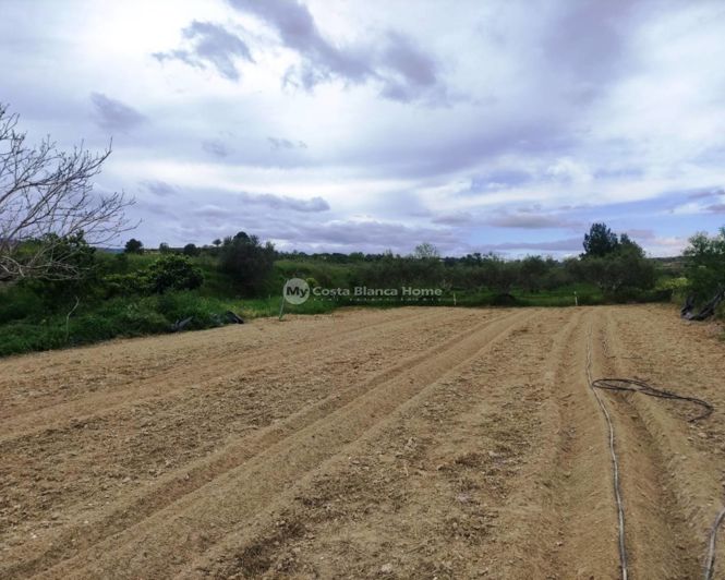 Image No.22-3 Bed Country House for sale