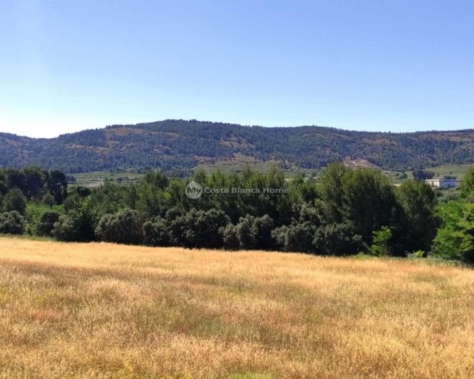 Image No.39-11 Bed Finca for sale