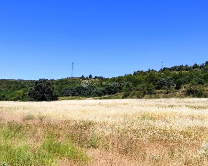 Image No.41-11 Bed Finca for sale