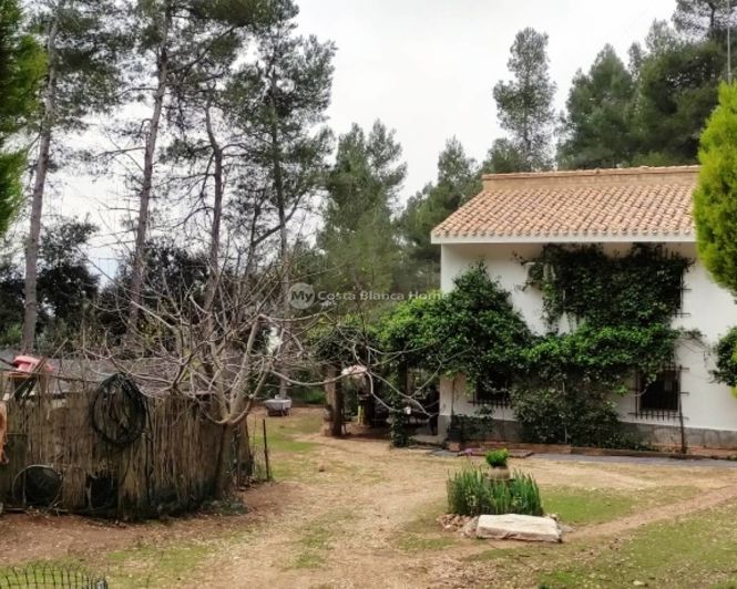 Image No.20-5 Bed Country House for sale