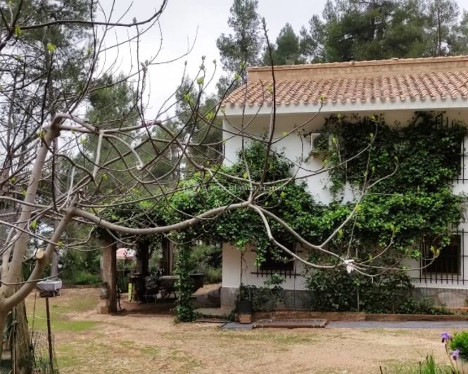 Image No.27-5 Bed Country House for sale