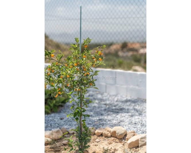 Image No.40-3 Bed Country House for sale