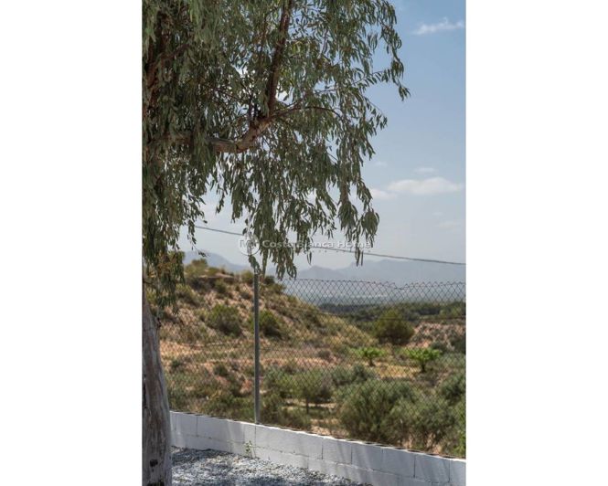 Image No.43-3 Bed Country House for sale