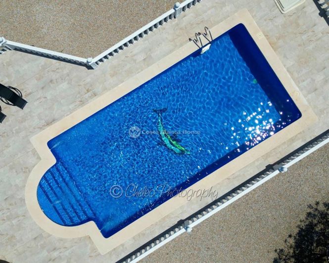 Image No.39-4 Bed Villa for sale