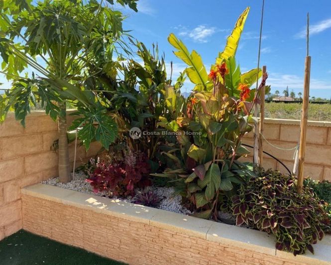 Image No.32-5 Bed Country House for sale