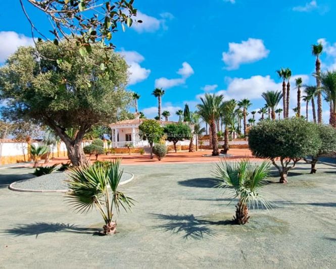 Image No.18-3 Bed Country House for sale