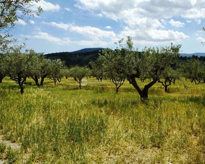 Image No.21-5 Bed Finca for sale