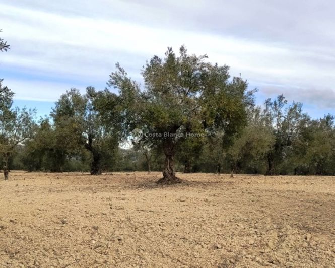 Image No.1-Property for sale