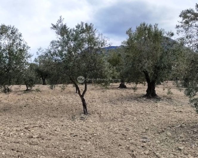 Image No.10-Property for sale