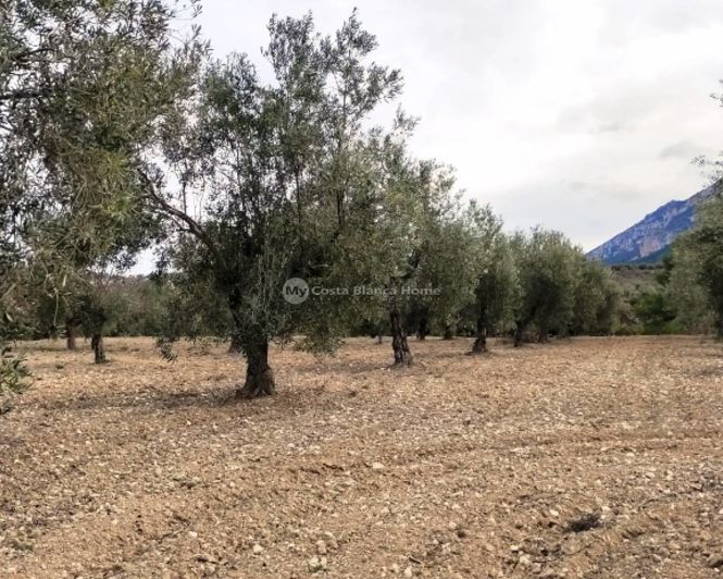 Image No.11-Property for sale