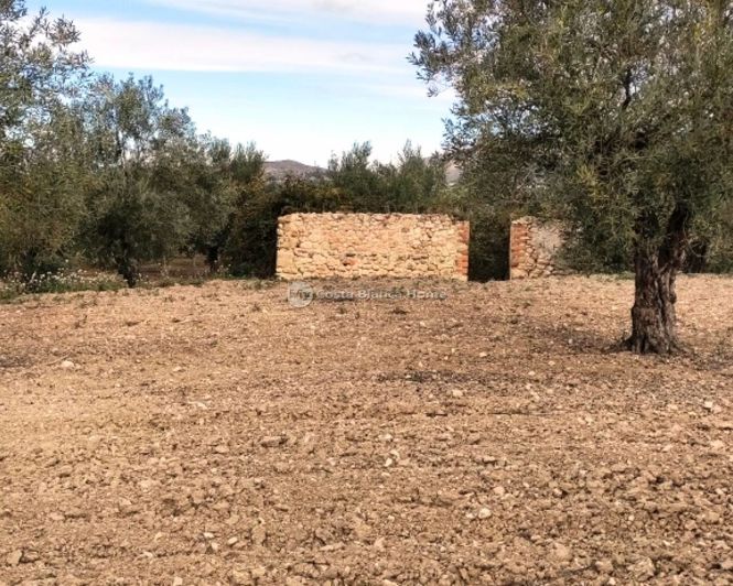 Image No.12-Property for sale