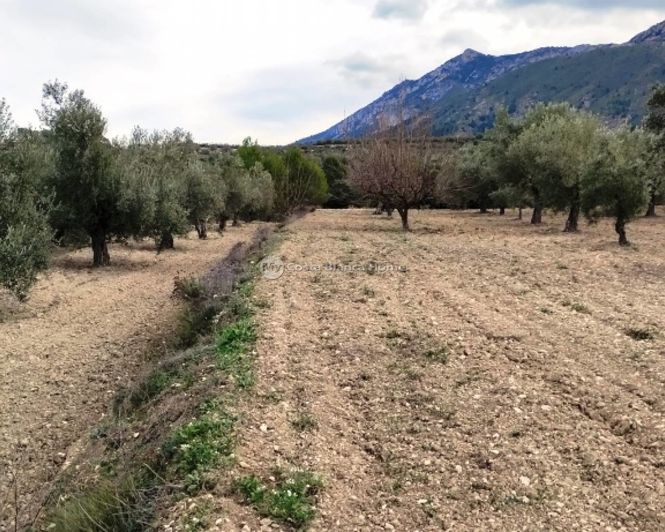 Image No.13-Property for sale