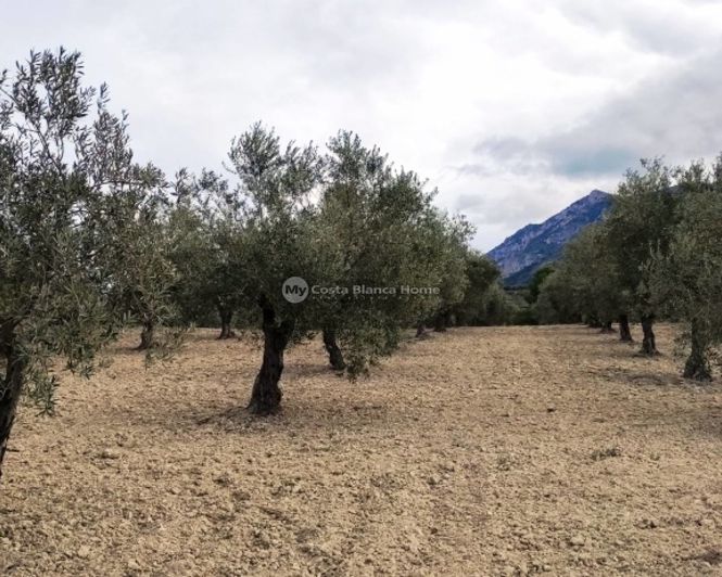 Image No.14-Property for sale