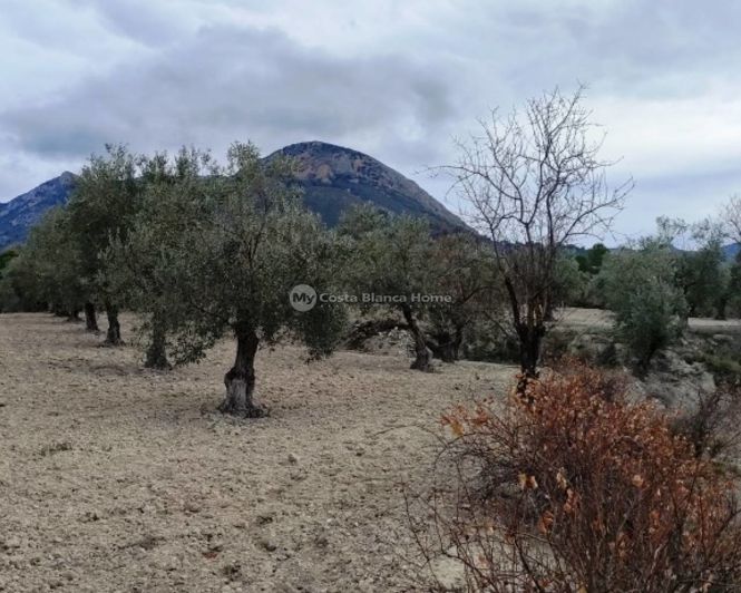 Image No.15-Property for sale