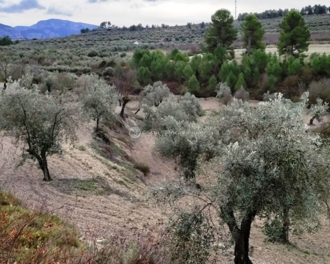 Image No.16-Property for sale