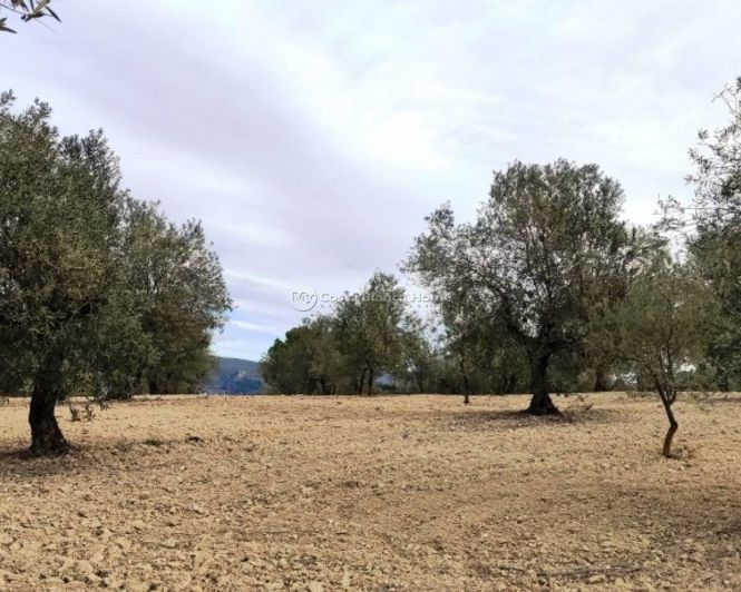 Image No.2-Property for sale