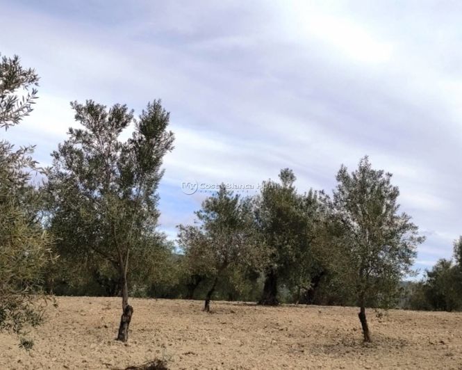 Image No.3-Property for sale