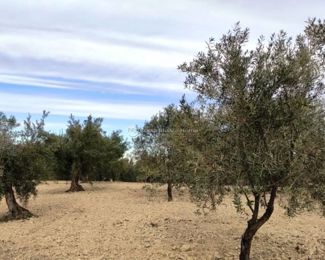 Image No.4-Property for sale